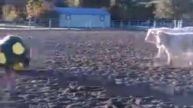 Приколы май 2016 смотреть онлайн