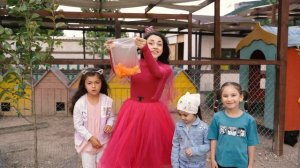 Pempe. 25 bölüm — Qoyanlar parkı (Пемпе. 25 выпуск — Парк кроликов)