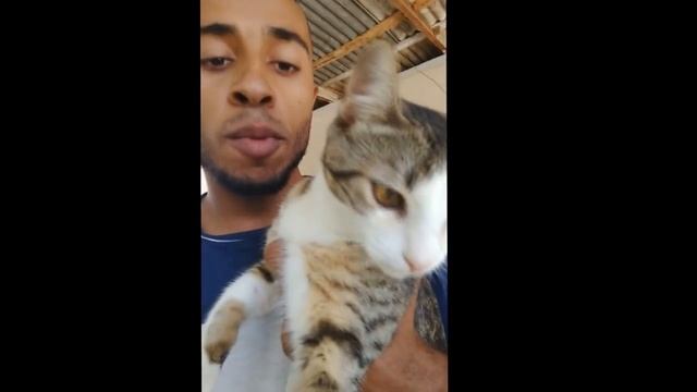 LIMPANDO MEU PC GAMER 2017 смотреть онлайн