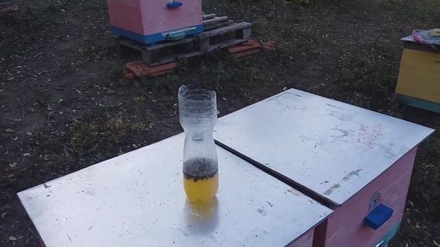 ЭФФЕКТИВНАЯ БОРЬБА С ОСАМИ смотреть онлайн