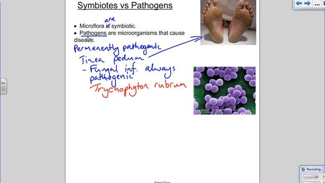 Senior Science Lifestyle Chem 3.2 3.5: Microflora and the pH of skin смотреть онлайн
