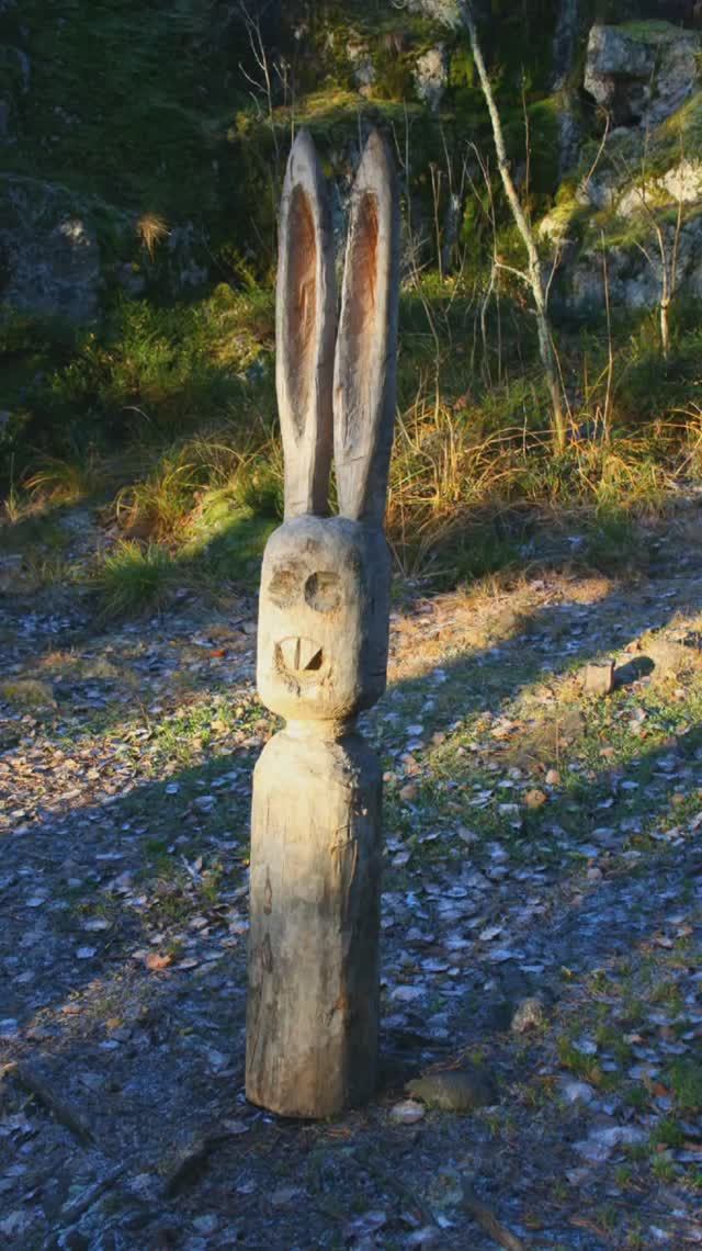 Карельский перешеек. Большие скалы (Ястребиные) во мху. Ноябрь 2007г смотреть онлайн