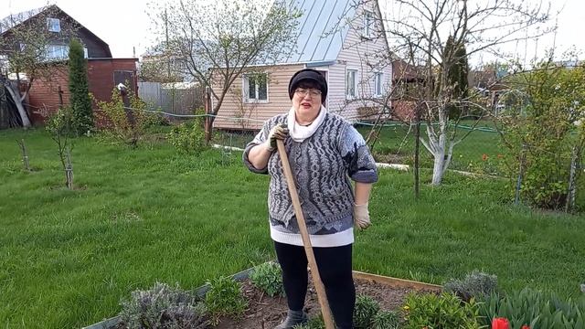 / Дачная хроника 2024 / смотреть онлайн