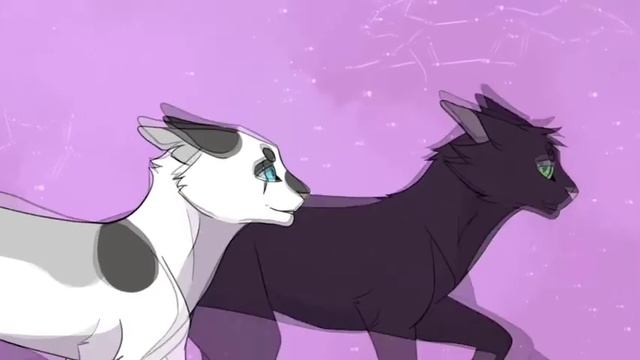 Коты воители. Клип Искра-Клетка смотреть онлайн