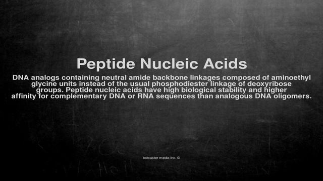 Medical vocabulary: What does Peptide Nucleic Acids mean смотреть онлайн