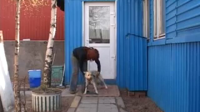 Belka смотреть онлайн