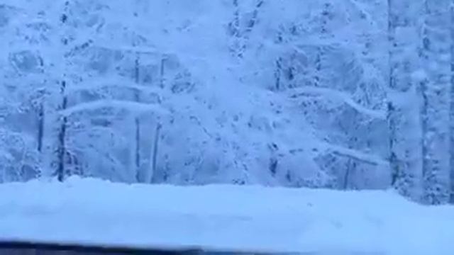 Зимняя сказка смотреть онлайн