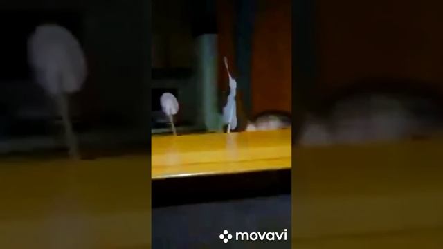 Сказка "Колобок" семейный театр смотреть онлайн
