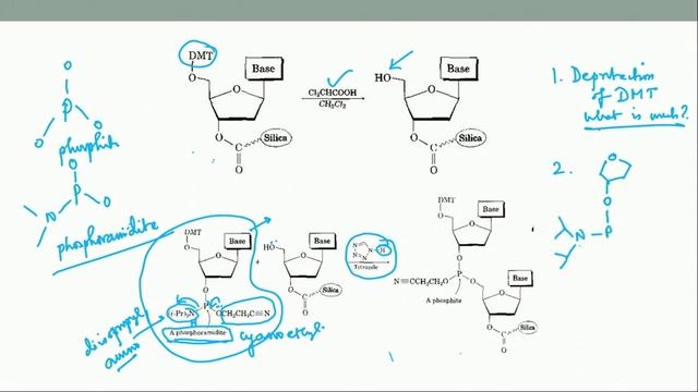 Lecture 27 : Synthesis of oligonucleotide смотреть онлайн