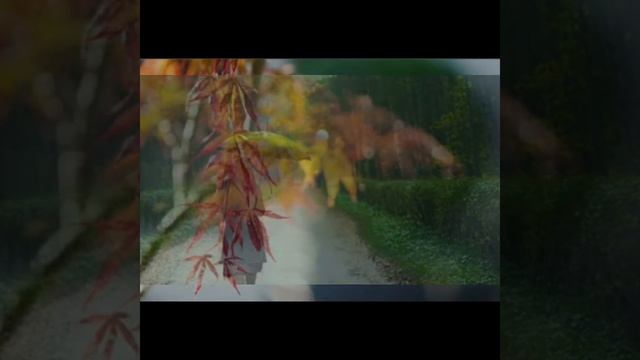 ДУША ОПЯТЬ ЧИТАЕТ СНЫ. муз. Лили Стренгис . стихи: В. Холод смотреть онлайн