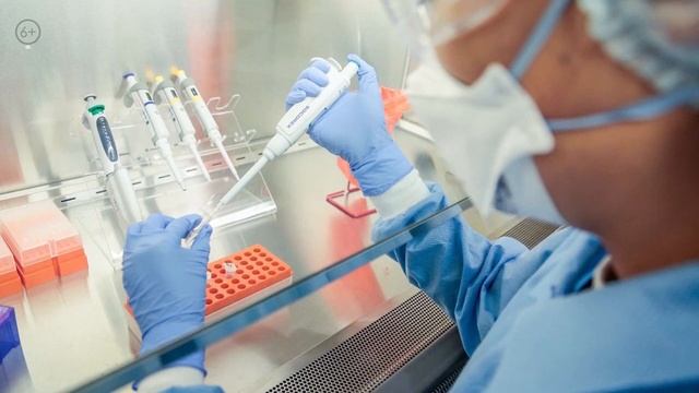 Поджелудочная железа и сахарный диабет