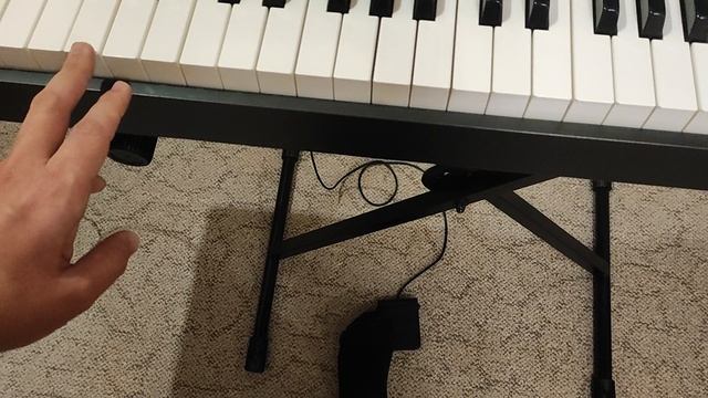 Цифровое пианино Casio CDP-100