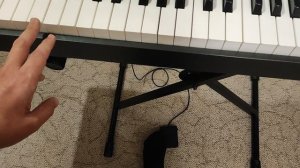 Цифровое пианино Casio CDP-100