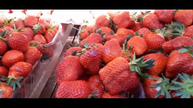 КЛУБНИКА. КАК МЕНЯЛИСЬ ЦЕНЫ НА ЯГОДЫ С 16.05. - 06.06.2021 ХАРЬКОВ смотреть онлайн