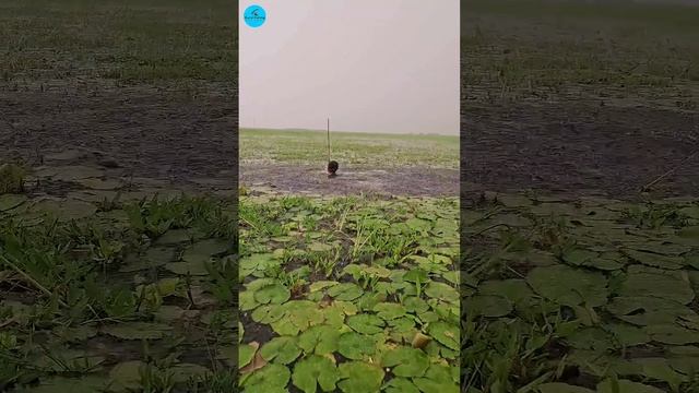 Лучшая рыбалка с лодки смотреть онлайн