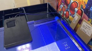 Морской аквариум с боковым сампом. Габариты отсеков сампа.