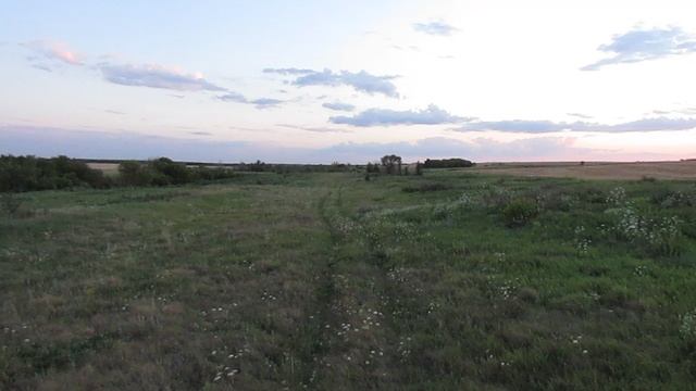 Исчезнувшая деревня Новополье, Аткарский район.