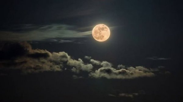 Faith | Ярослав Солиган