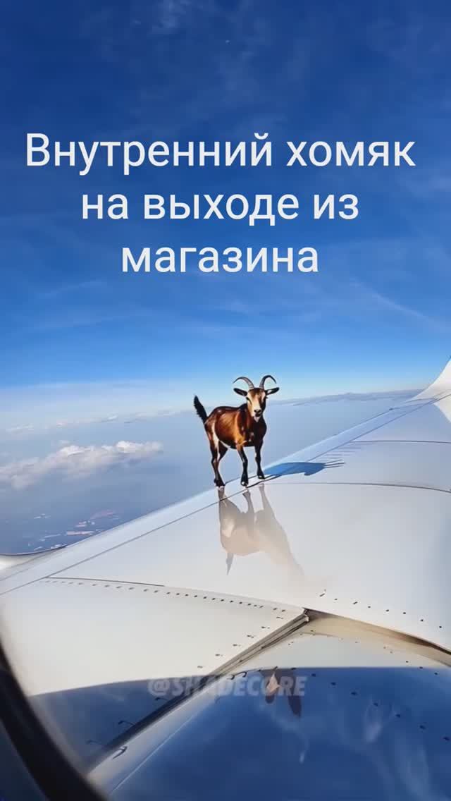 Внутренний голос в моей голове на выходе из магазина...
Признавайтесь, у кого так же? смотреть онлайн