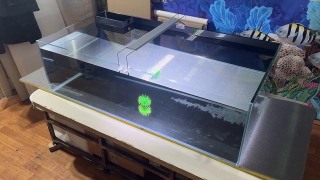 Морской аквариум в Калининград. Обзор ПВХ гидравлики. смотреть онлайн