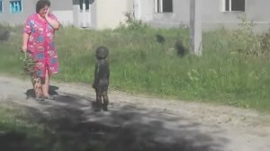 Дети в грязи