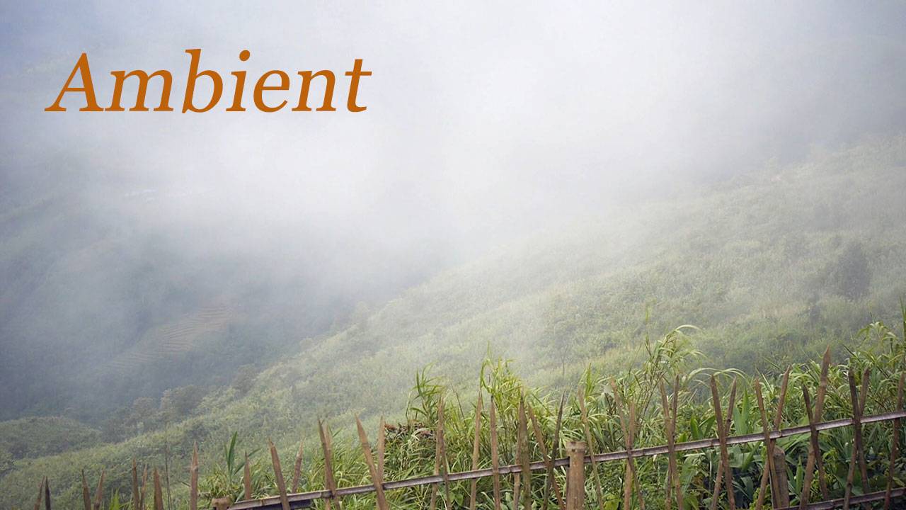 Утро туманное. & The morning is foggy. смотреть онлайн