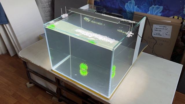 Морской аквариум с задним сампом. Обзор и отзыв владельца. смотреть онлайн