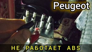 Peugeot проблема с системой ABS.  Ошибка C1381.