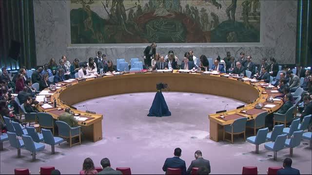 EOV By DPR Anna Evstigneeva After The UNSC Vote On A Draft Resolution On MINUSCA's Mandate Renewal