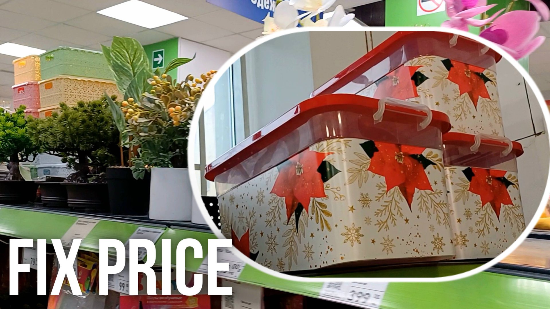 ФИКС ПРАЙС НОВИНКИ 🔥 ИНТЕРЕСНЫЕ ТОВАРЫ 🛍 ОБЗОР НОВИНОК FIX PRICE 🛒 ОБЗОР МАГАЗИНА КОЛЛЕКЦИЯ 2024 смотреть онлайн