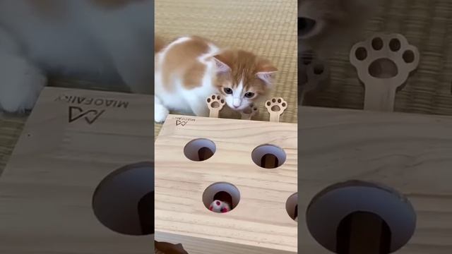 Какой забавный малыш, всё ему интересно❤ смотреть онлайн