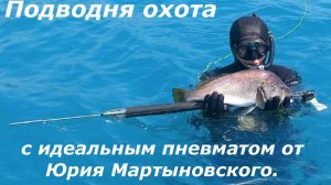 Подводная охота с идеальным пневматом от Юрия Мартыновского.