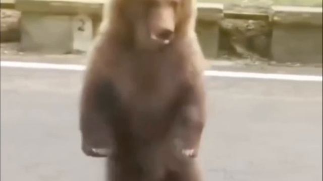 Цыганочка с выходом. смотреть онлайн