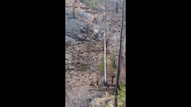 Подборка Мемов и приколов #114 смотреть онлайн