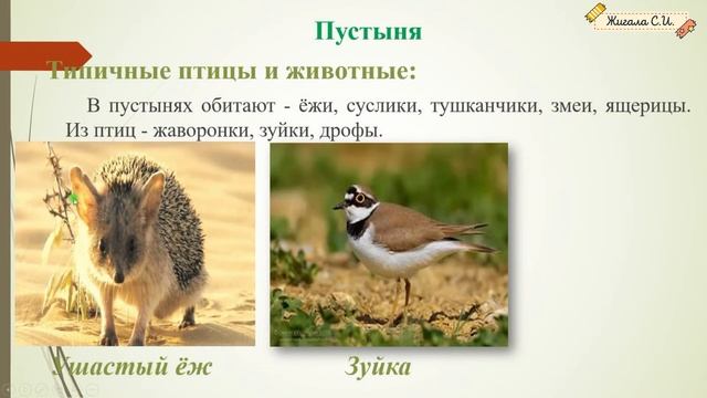 ЗАДАНИЕ №3.2, 3.3.Часть 3 Растения и животные степей, пустынь, субтропиков Природных зон. ВПР- 4