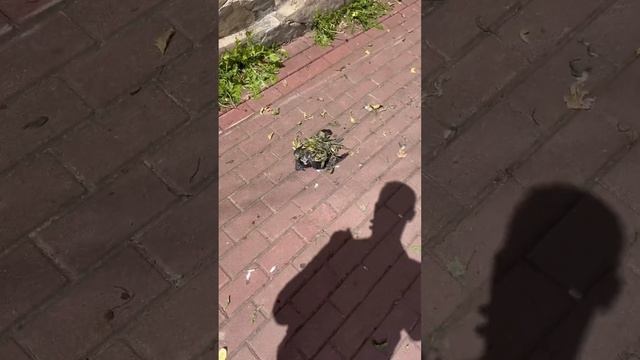 @ne_gruz  Кешу нашел