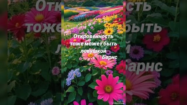 Жизнь и есть волшебство, где каждый миг неповторим. смотреть онлайн