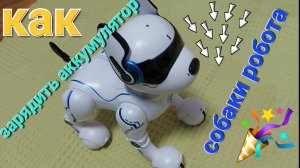 Как зарядить робо-собаку