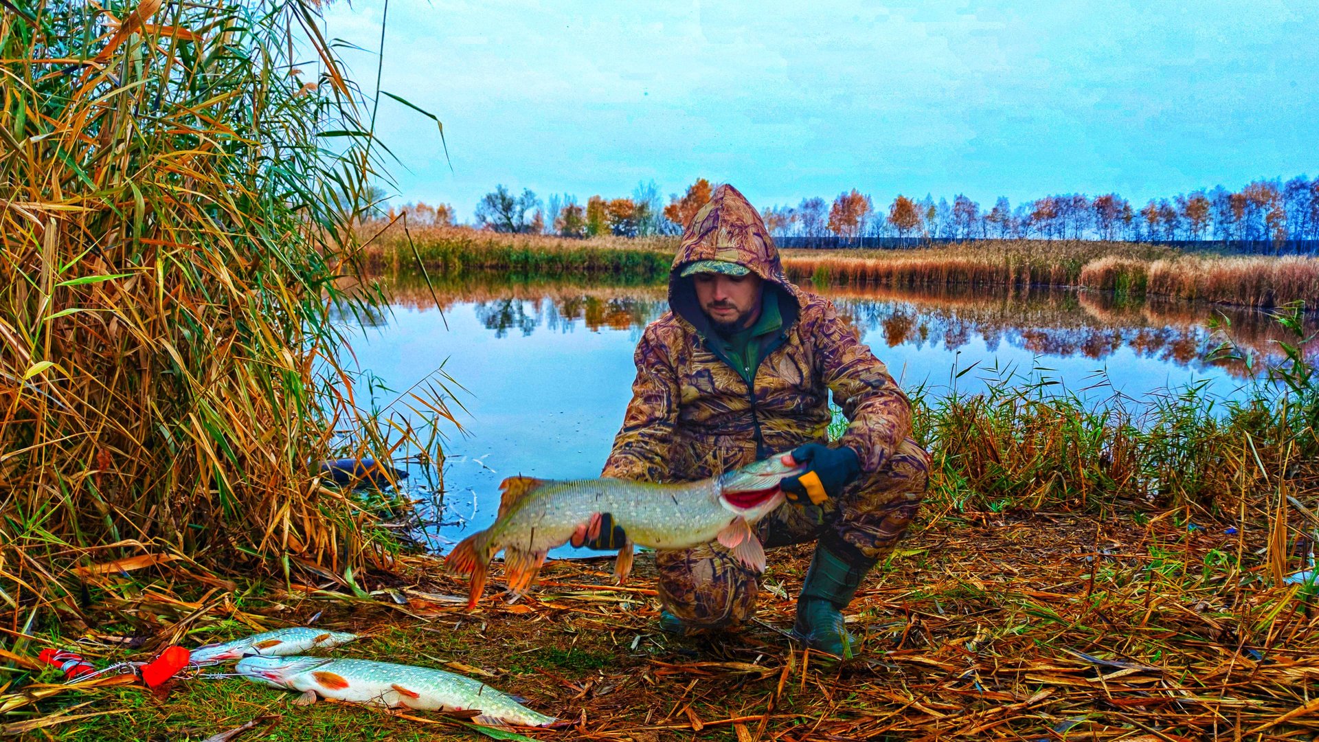 ЖОР ЩУКИ В НОЯБРЕ! Ловля щуки на спиннинг Рыбалка в ноябре 2024 смотреть онлайн
