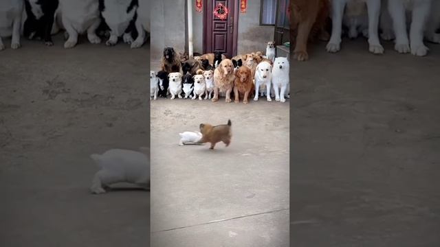 Подпишись на Нас для тебя это пустяк, а нам будет очень приятно смотреть онлайн