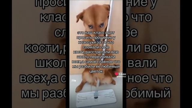 mem смотреть онлайн