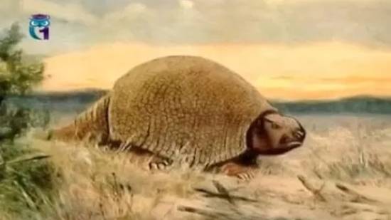 Глиптодонт смотреть онлайн