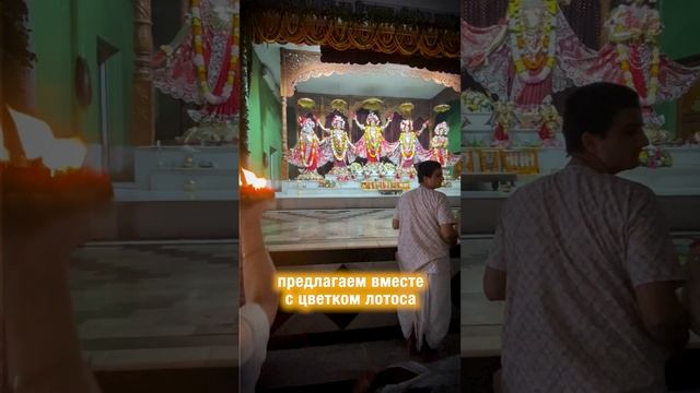 ВОСПОМИНАНИЯ С КАРТИКИ 2024 ГОДА 🤗 смотреть онлайн