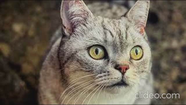 Стихи-депрессняшки продолжение. смотреть онлайн