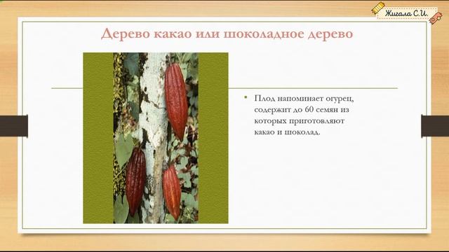 ЗАДАНИЕ №3.2, 3.3.Часть 4.Растения и животные Южной и Северной Америки.  ВПР окружающий мир, 4 класс