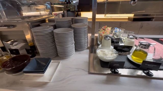 Бизнес-зал МАЛЕВИЧ - аэропорт Шереметьево С. МОСКВА | Услуги зала ожидания повышенной комфортности. смотреть онлайн