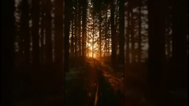 К свету. Дмитрий Шлапак смотреть онлайн