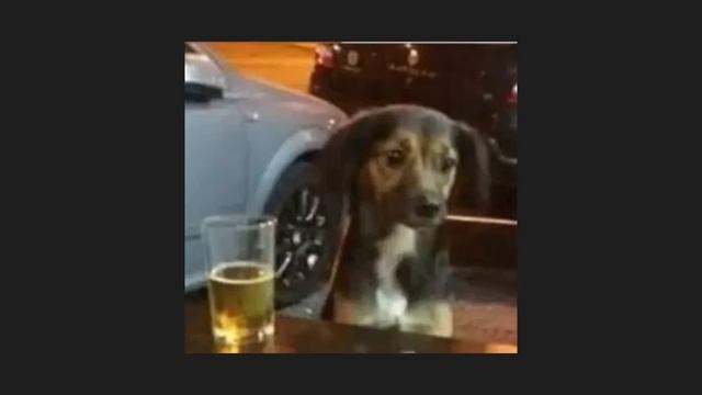 A playlist for the ceiling at 4 am смотреть онлайн