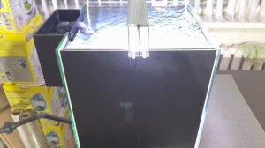 Небольшой морской аквариум с нижним сампом