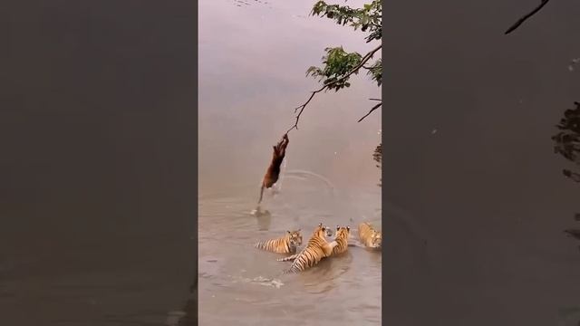 Подпишись на Нас для тебя это пустяк, а нам будет очень приятно смотреть онлайн